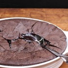 chocolate brownie pudding