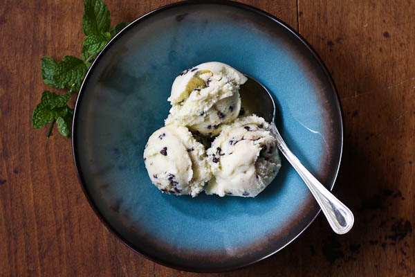 mint chocolate chip ice cream | the merry gourmet