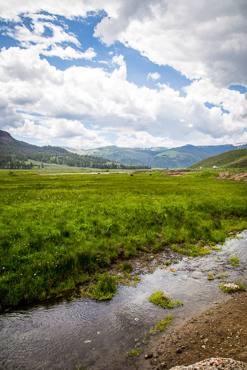 yellowstone national park