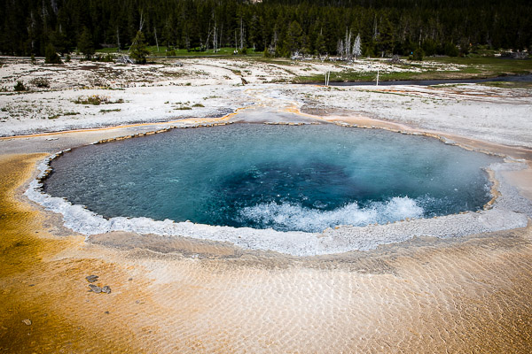 yellowstone national park | the merry gourmet