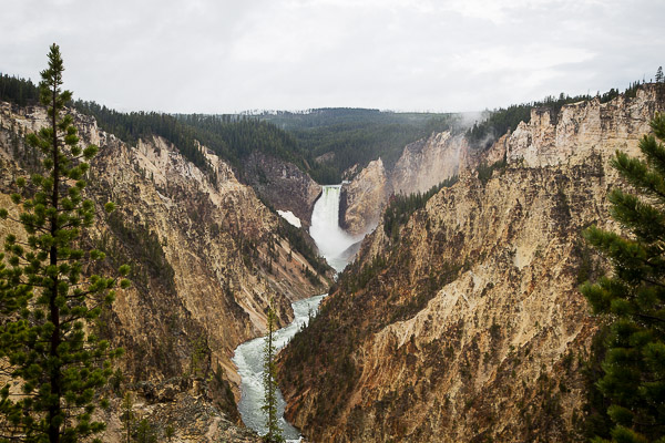 yellowstone national park | the merry gourmet